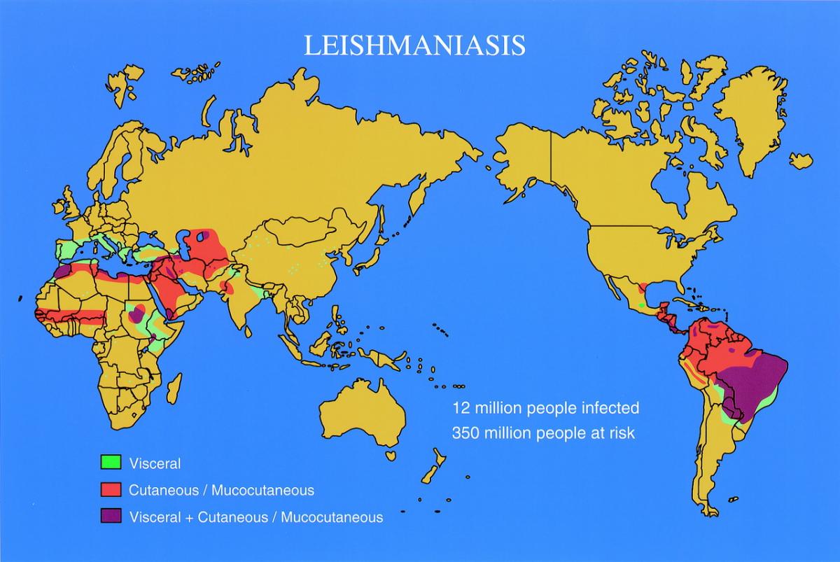 Leishmania map